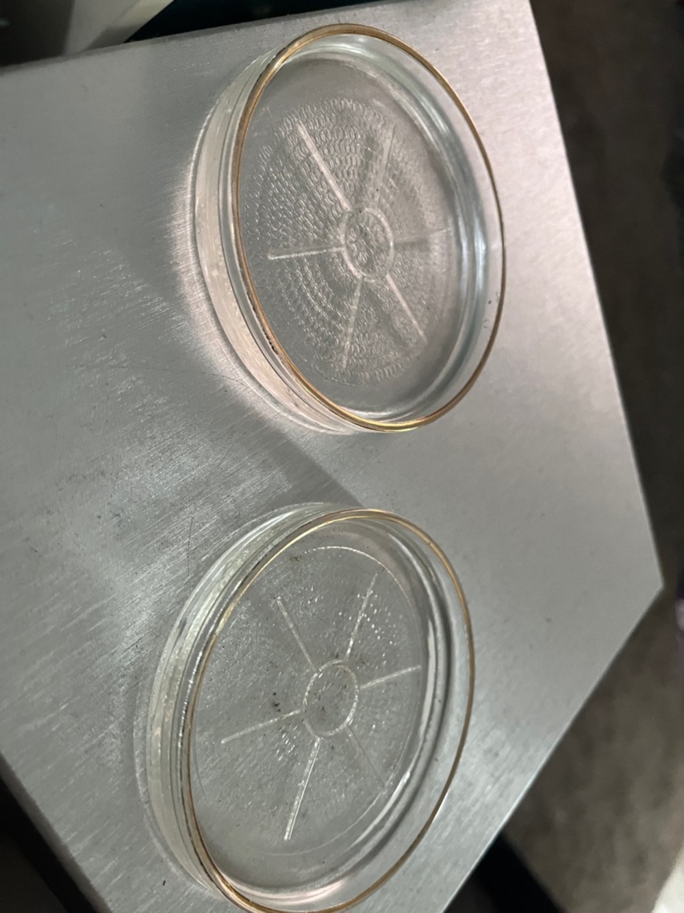 Clear Glass Round Coasters with Gold Rim - Set of 2